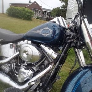 Meet your Posher, Warren